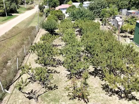 Terreno en Venta en Canelones, USD 39.000