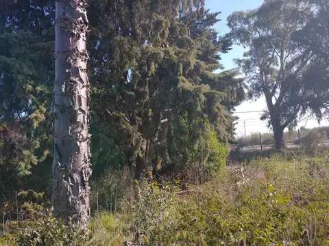 Terreno en Venta de 1165,0 m2