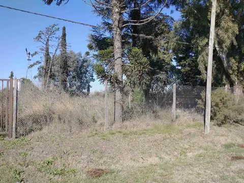 Terreno en Venta en Lisandro Olmos Etcheverry, USD 150.000