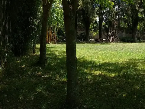 Av. Álvarez Thomas 2100