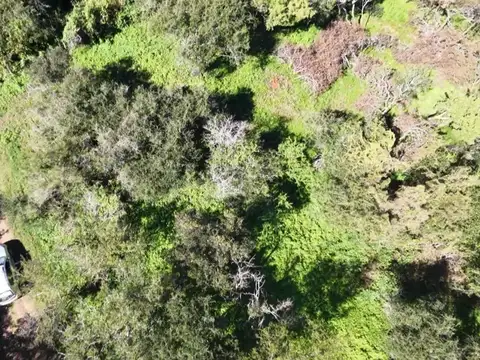 Terreno en Venta de 795,0 m2