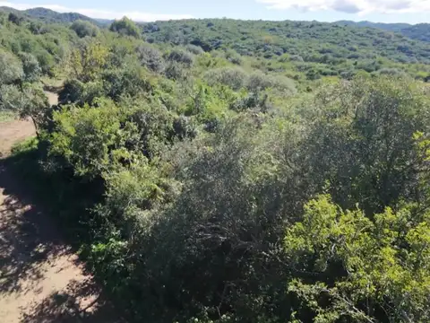 Camino del Cuadrado Km 100