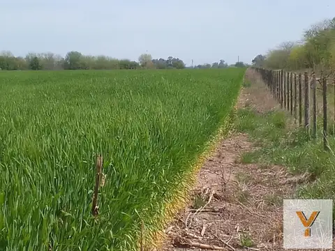 Campo en Venta en Lobos, Partido de Lobos