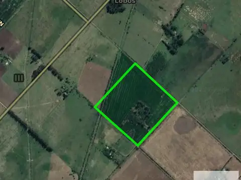 Campo en venta - 260.328Mts2 - Lobos