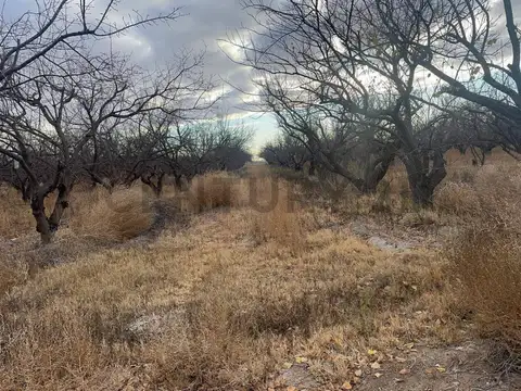 Terreno en Venta de 7,0 m2