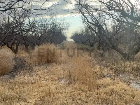 Terreno en Venta 149  mts Frente