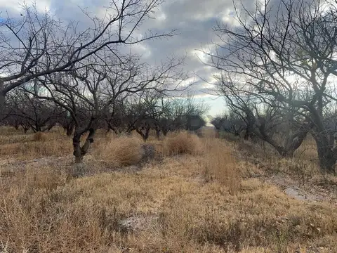 Terreno en Venta 487  mts Fondo