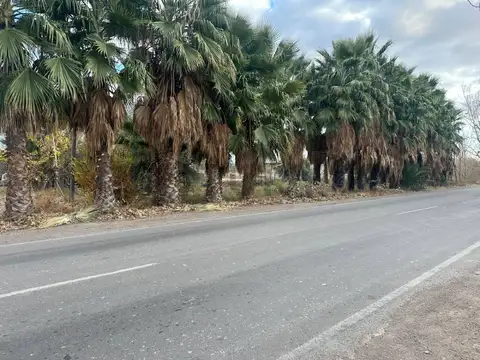 DON BOSCO 5410 , Piso 0