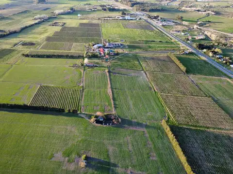 VENTA PREDIO RURAL 3HÁS. SOBRE RUTA 5 CON CHALET