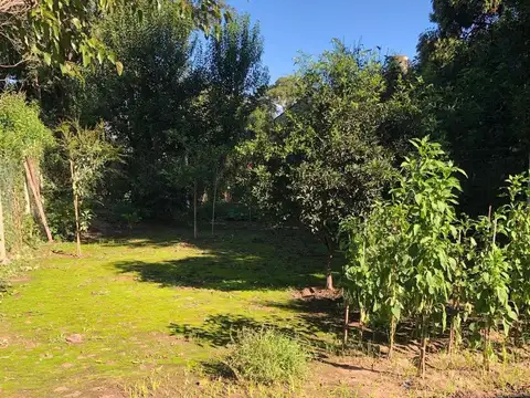 Amplio terreno 