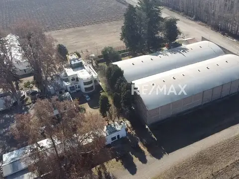 Galpon en Alquiler 13 años