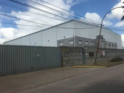 Albert Einstein al 800