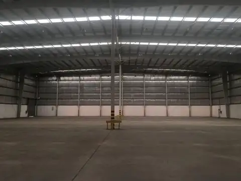 Albert Einstein al 800