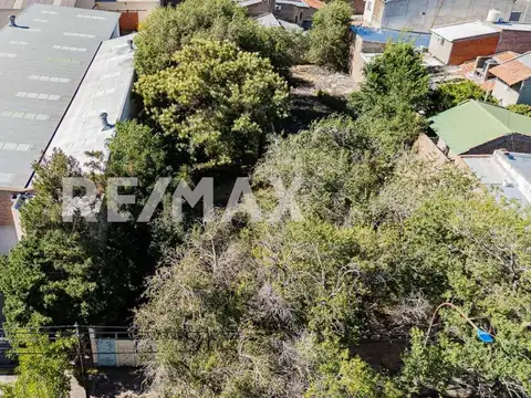 Teniente General Pablo Ricchieri 600