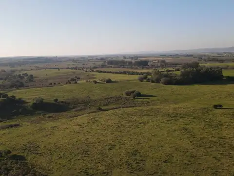 Ruta 8 y camino vecinal