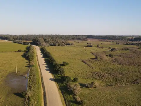 Ruta 8 y camino vecinal