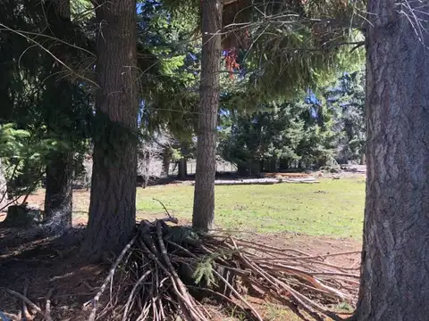 VENTA EXCELENTE  1,7 HECTAREA EN QUILA QUINA EN LAGO LACAR