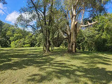 Terreno en Venta 29,55  mts Frente