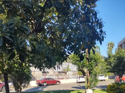 DEPARTAMENTO DE 3 AMB EN PB CON BALCON Y COCHERA DESCUBIERT