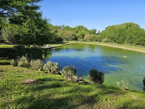 TERRENO CON CASA Y LAGUNA