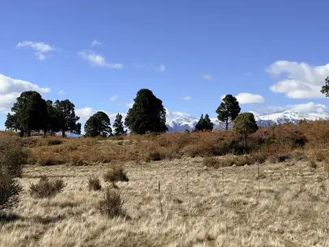 Terreno en Venta de 10000,0 m2