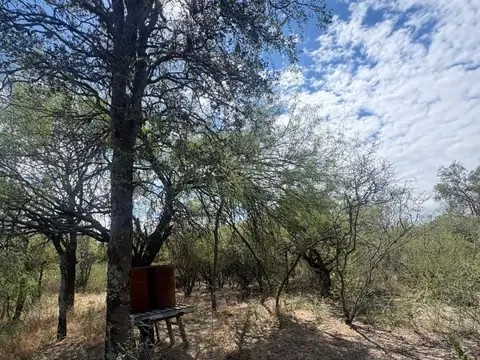 Terreno en Venta Boca del Rio - las Tapias