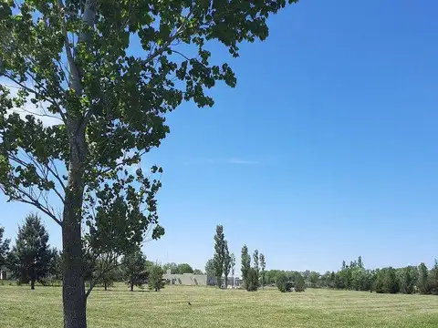 Terreno en Venta 56,13  mts Fondo