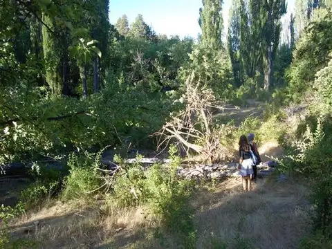 Terreno en Venta en Epuyen, USD 400.000