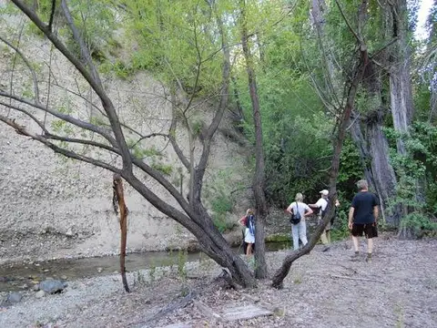 Terreno en Venta en Epuyen, USD 400.000