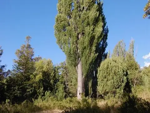 Epuyén, Chubut
