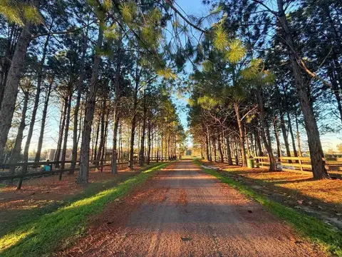 Ruta Provincial 193