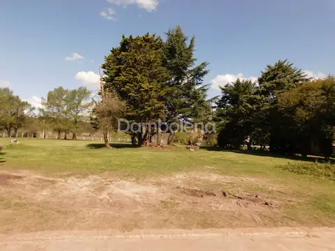 Country Club Boca Ratón - Pilar 100