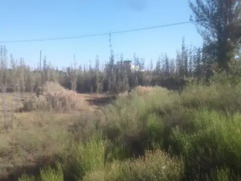 OPORTUNIDAD DE INVERSIÓN EN MENDOZA, GRAL ALVEAR