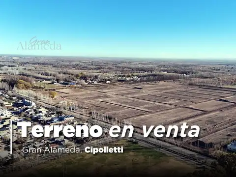 Venta terreno gran alameda cipolletti
