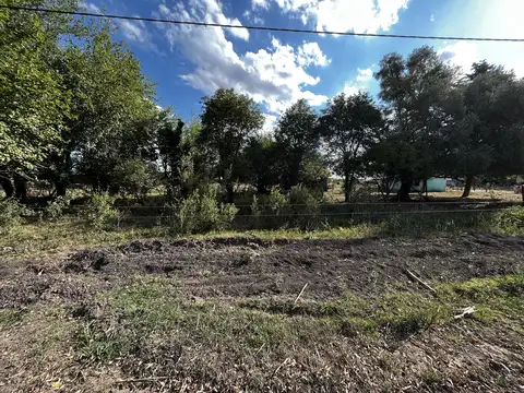 Vendo Lote de 1 hectárea en Pronunciamiento, Entre Ríos.
