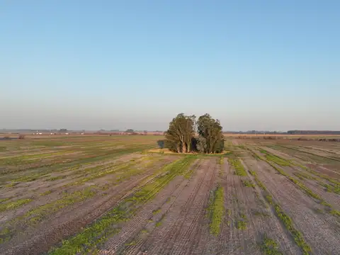 16 Has. Chacra sobre Ruta 193, Exaltacion de la Cruz