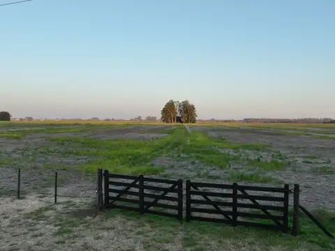 Campo en Venta Agricola