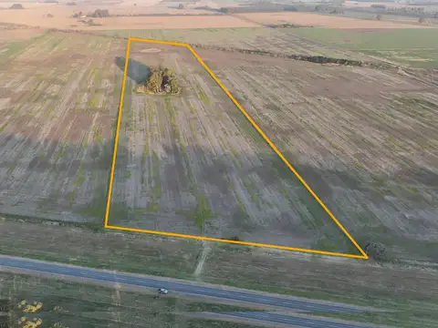 Campo en Venta de 16  ha