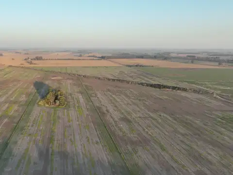 Campo en Venta de 16  ha