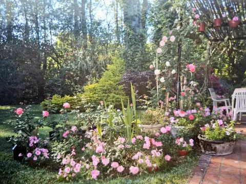 Juan Manuel Blanes 1900