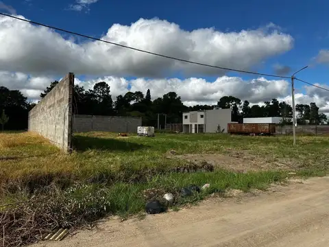 Calle 87 900
