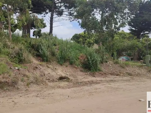 Avenida 7 entre paseos 105 y 107 100