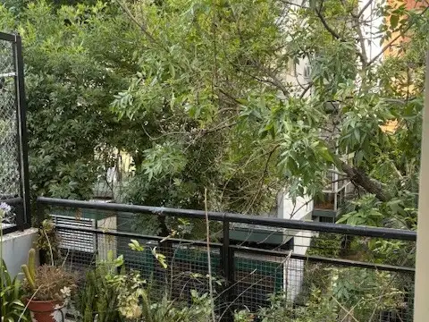 Alegre Dúplex con Balcón Al Frente. Toilette - Suite - Onda Joven