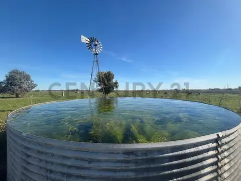 Fracción de Campo 61 Hectáreas en Gral. Rodríguez | Cuartel Tercero |  Apto Desarrollo Agropecuario