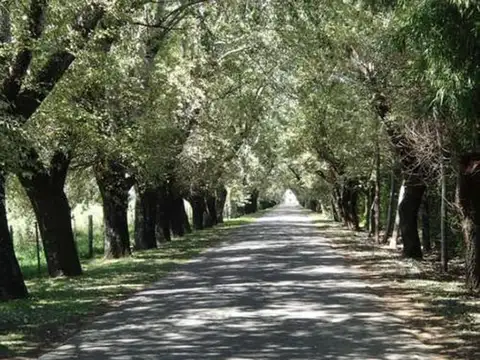 Terreno en Venta de 1,0 m2