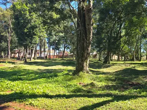 si