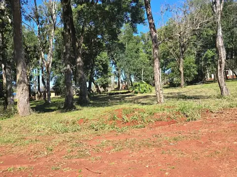 ruta provincial 5