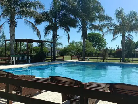 Negocio especial en Venta en Gualeguaychu, Gualeguaychú