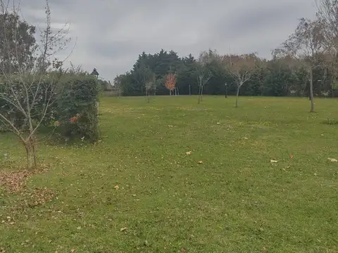 Terreno en Venta 50  mts Frente