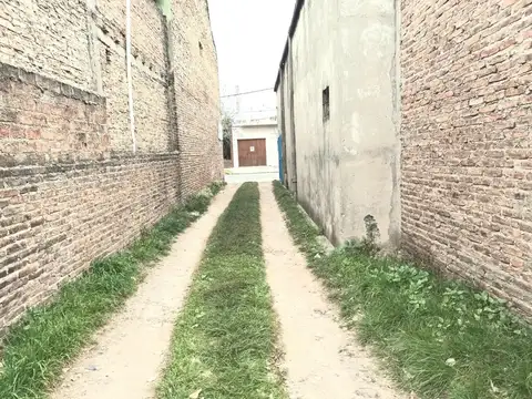 Calle Molina Arrotea 1600